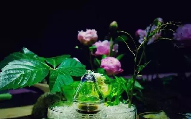 广州最贵的顶级餐厅,中国最贵餐厅排行榜