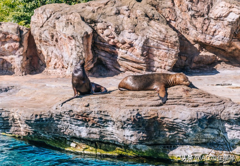 吃喝玩乐in珠海,珠海吃喝玩乐一体的地方