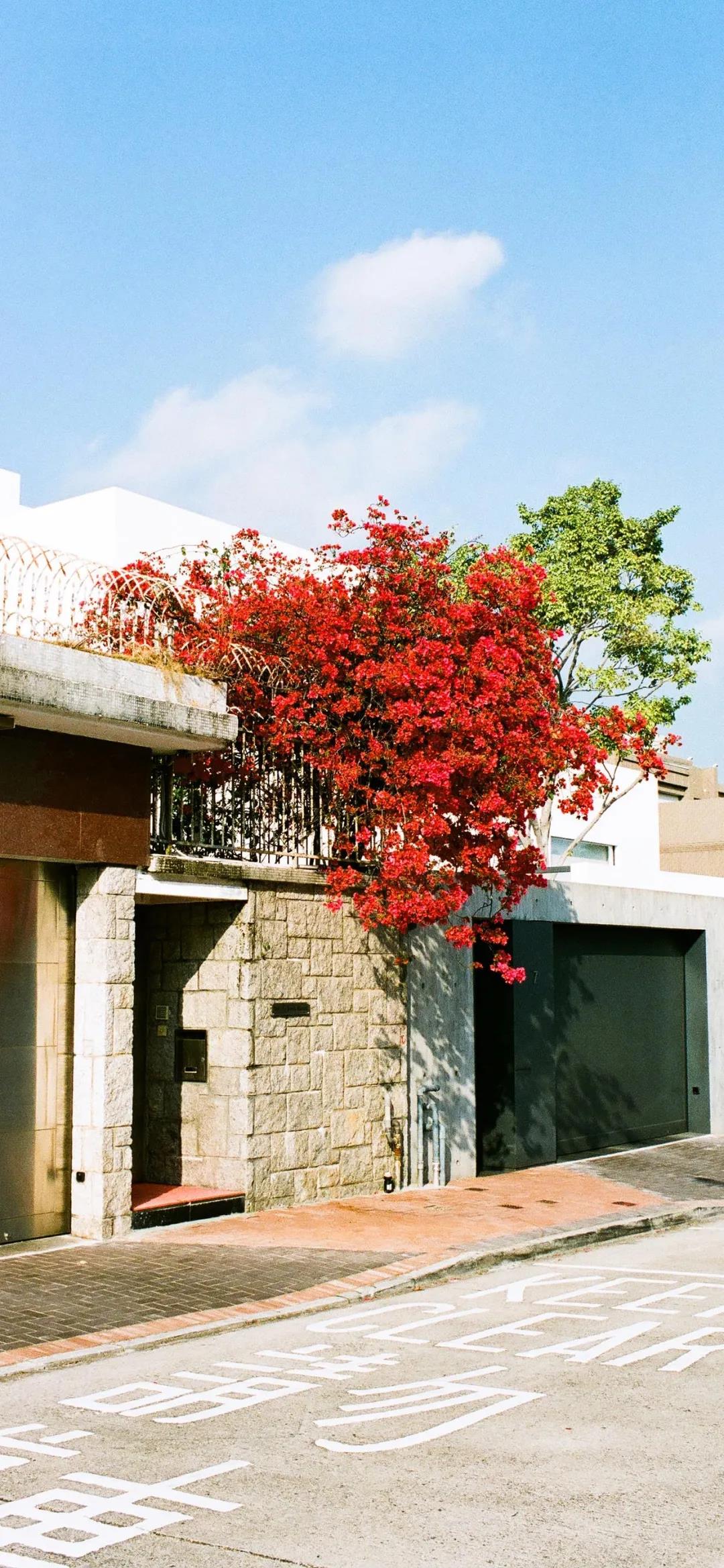 3d壁纸卡通风景壁纸,高清风景壁纸手机壁纸