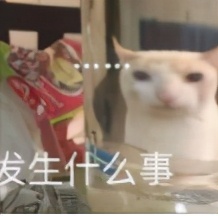 内娱最红老板，非她莫属了吧？