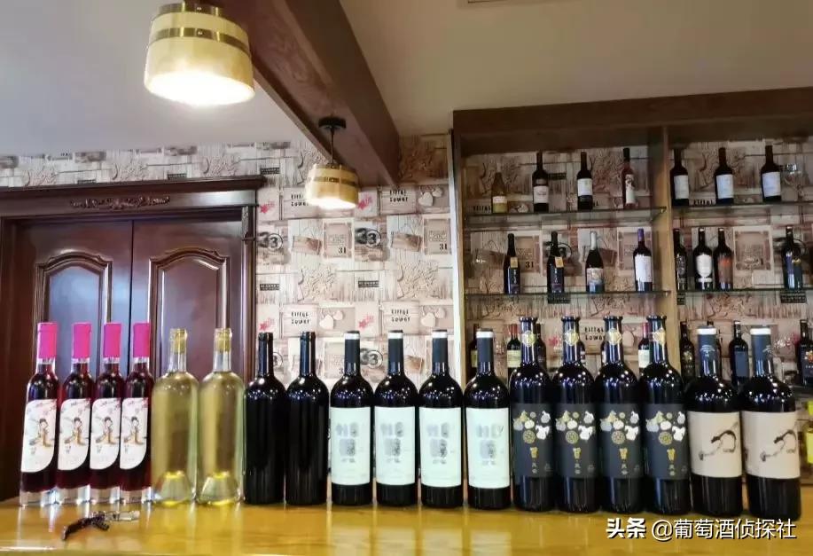 宁夏酒庄之旅,银川酒庄之旅