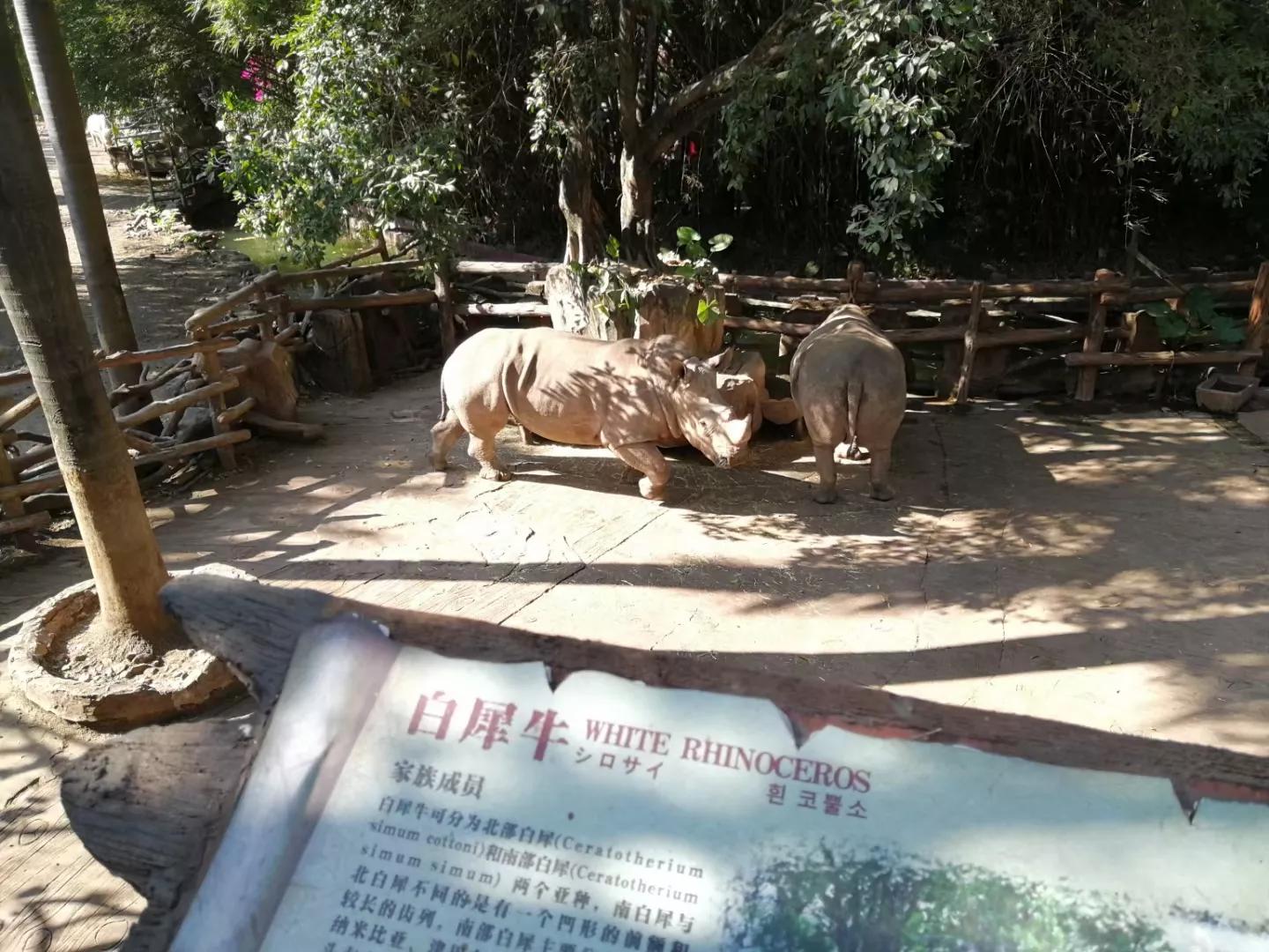 广州地铁3号线旅游攻略图,广州番禺广场地铁站旅游攻略