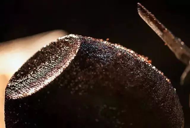 什么是犀皮漆,犀皮漆的特点