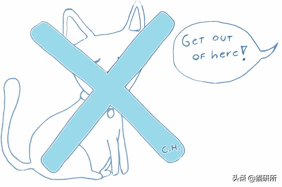 为什么猫咪那么傲娇还有人喜欢,猫咪这么可爱怎么有人舍得伤害