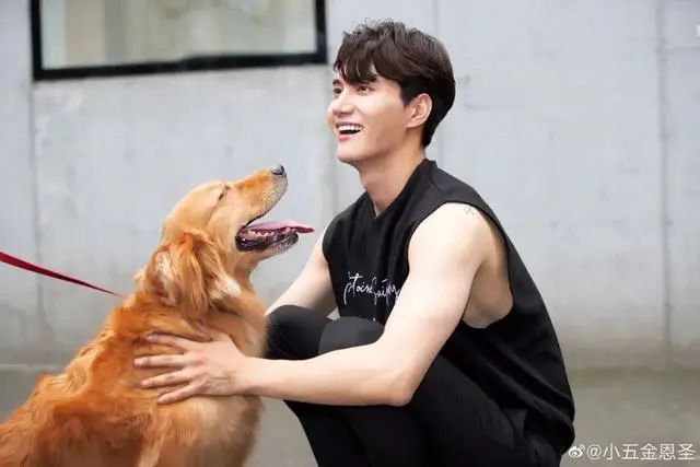 19岁大红却自毁名声，整容、当小三还撕原配太嚣张