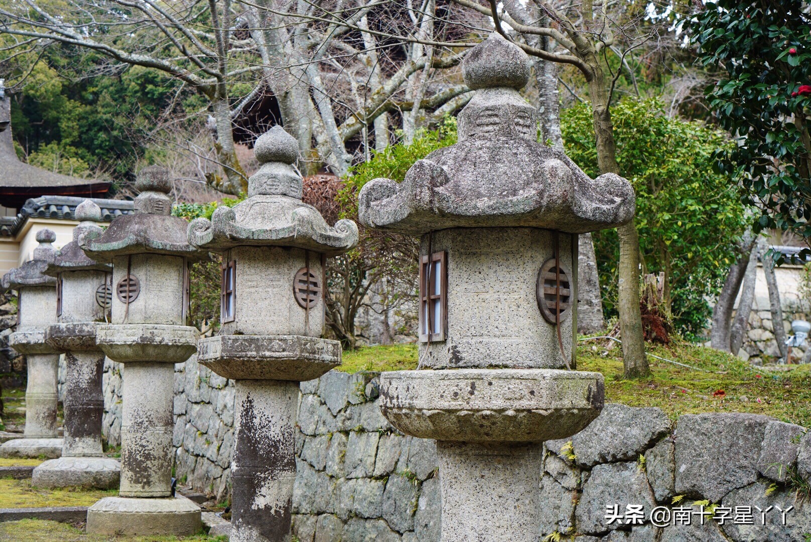 这个樱花季,造访SKII神仙水的水源地