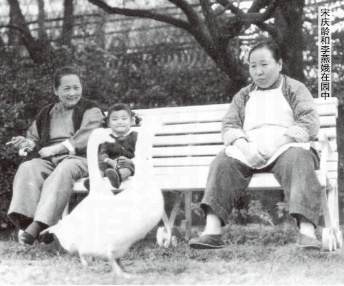 她陪伴宋庆龄54年，拼死保护宋家财产，宋庆龄逝后与其同葬