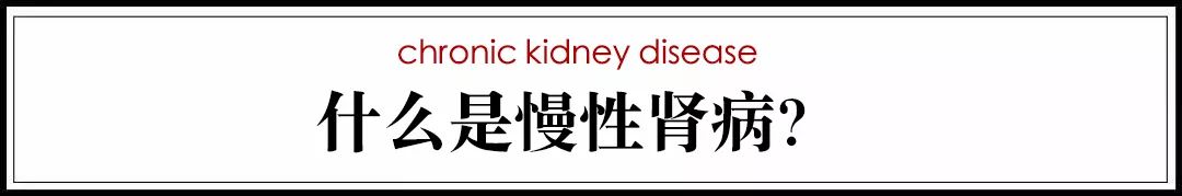 猫病视频,猫肾脏病视频大全