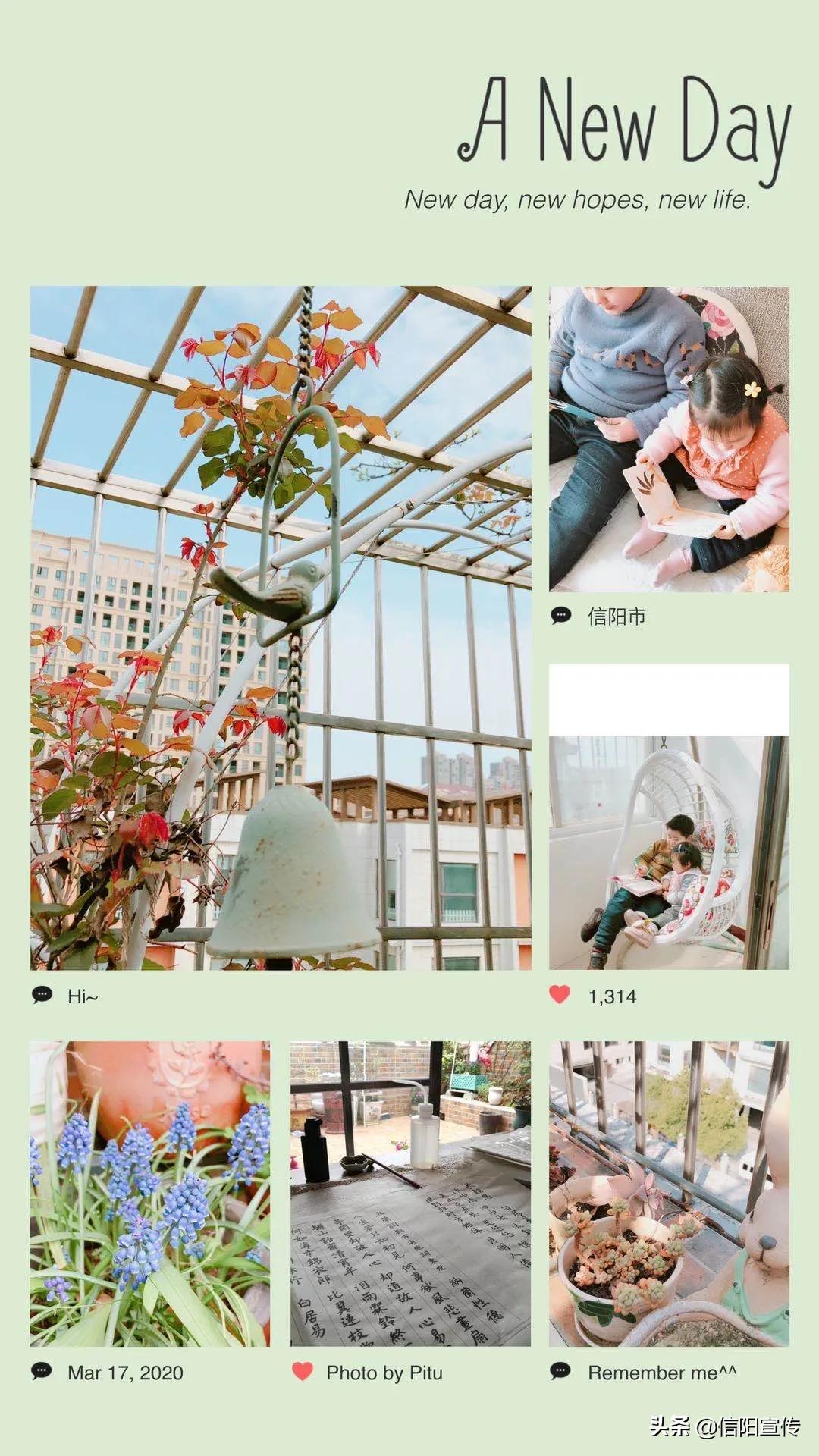 同心抗疫乐宅秀｜做美食、练书法、勤学习…综合图集来啦