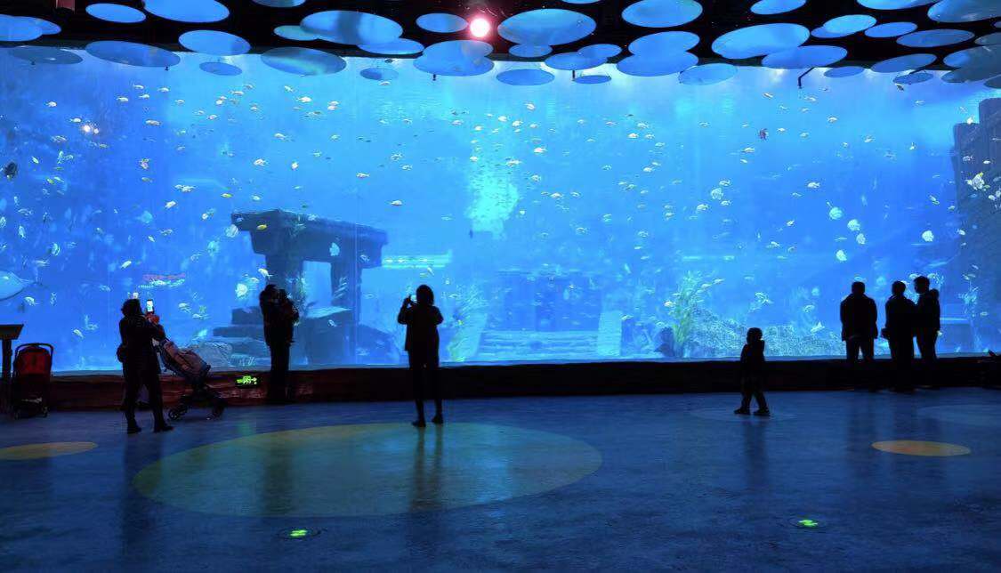 昆明春节一日游攻略,冬季昆明三日游最佳方案