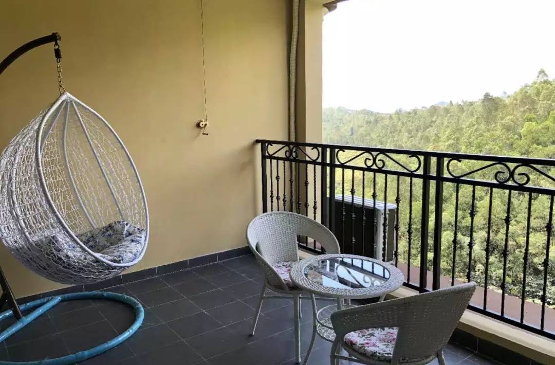 惠州富力养生谷一房一厅出售,富力养生谷loft惠州