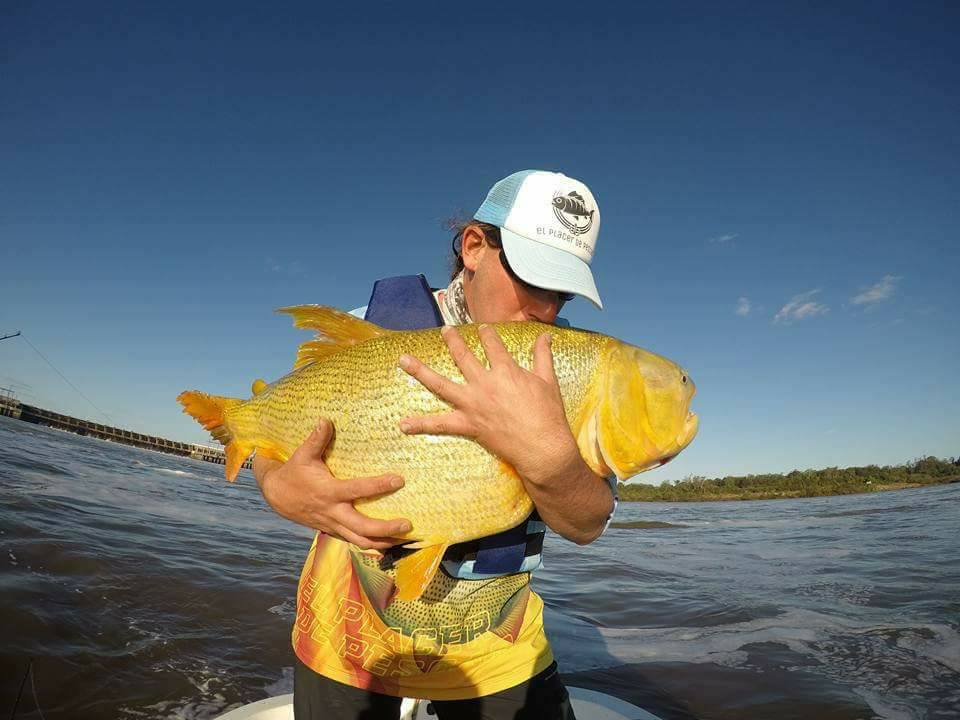 27公分的黄金河虎,黄金河虎凶猛吗