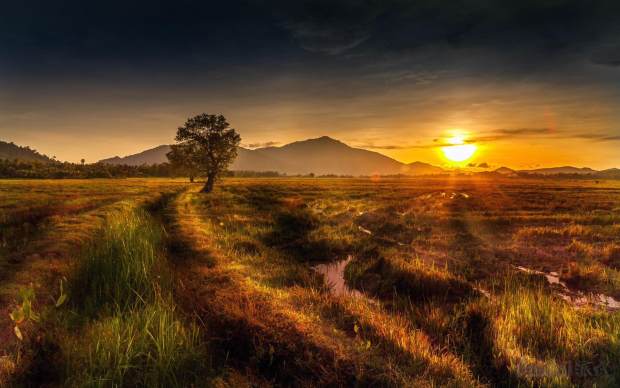 一个电商创业者的自我修养,一个人创业路上的艰辛感悟