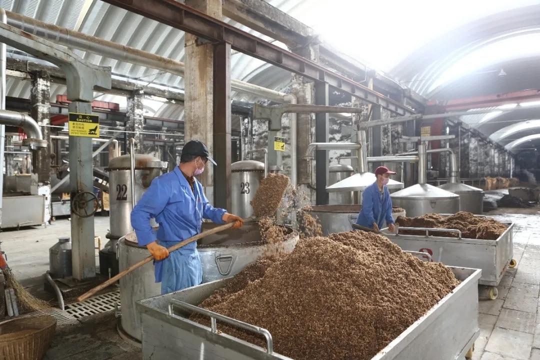 湖北稻花香酒业集团有限公司,湖北稻花香酒业简介