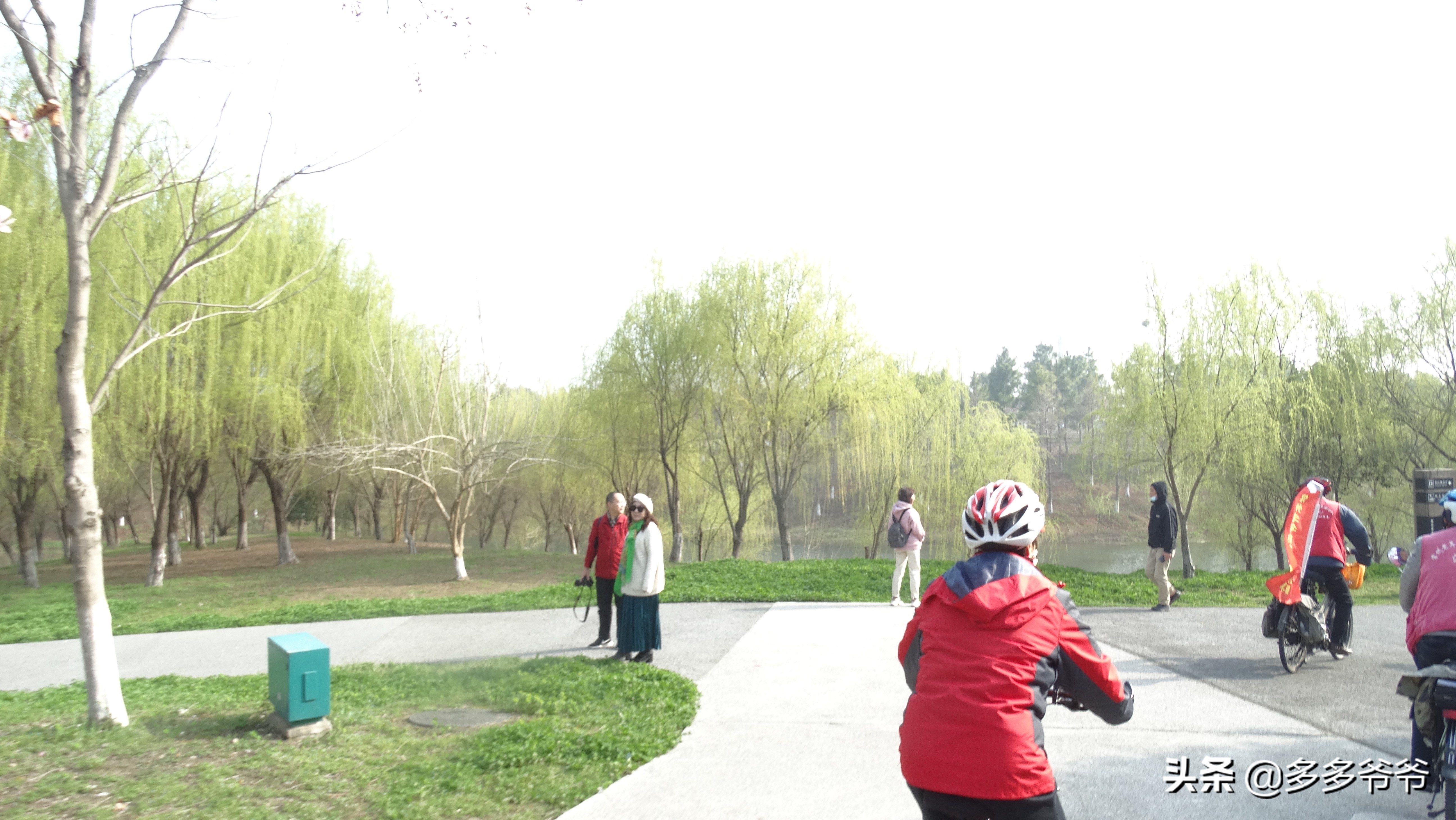 常州赏花的地方,常州附近5公里内公园免费景点