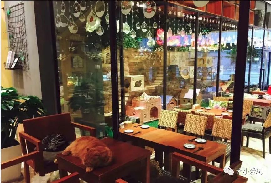 北京主题星空餐厅哪里的好,北京太空舱主题餐厅