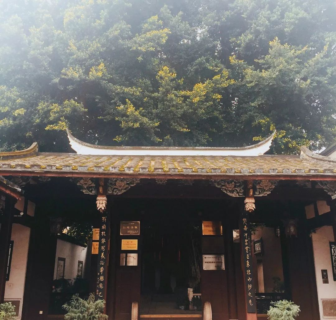 福州丫霸投资有限公司,福州丫霸全部视频