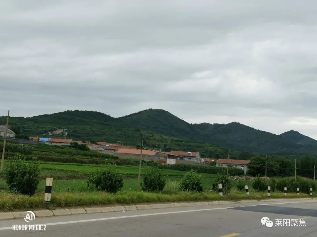 莱阳用电捕兔,莱阳猎兔