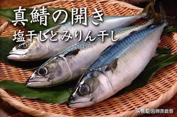 32种经典寿司做法视频,寿司常用的鱼