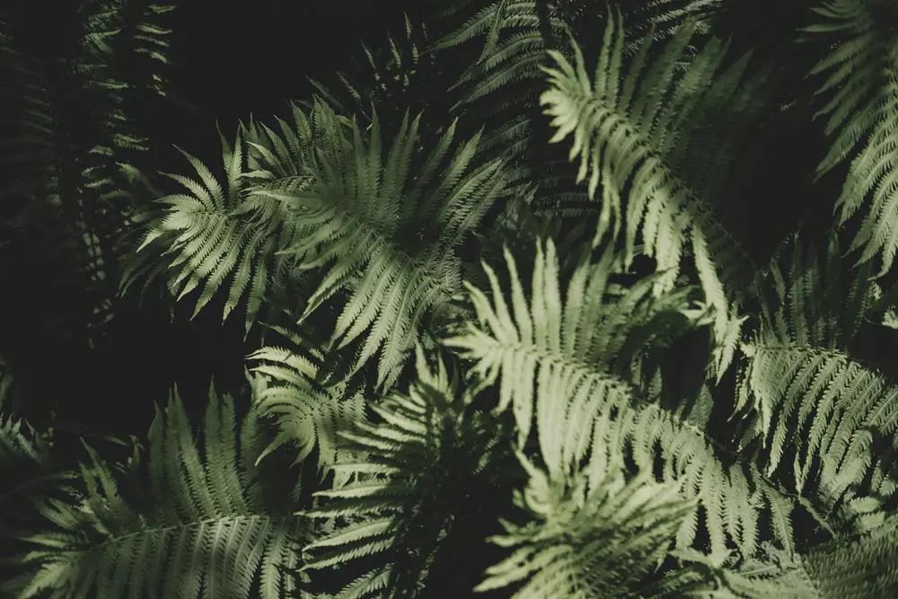 无需任何道具，手机这样轻轻一倒，大片随手拈来