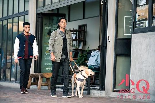 NG次数打破从影记录,任达华的《小Q》本就与众不同