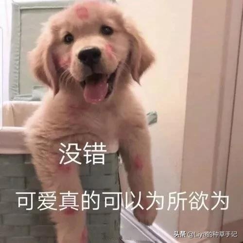 毛衣怎么穿才好看呢,毛衣怎么穿才不土气