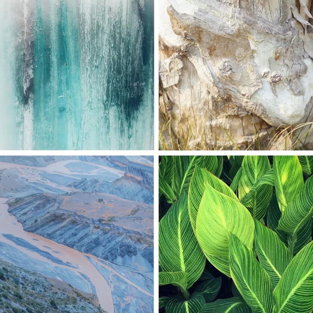 教你识别木门最常见的四种材质,不踩坑