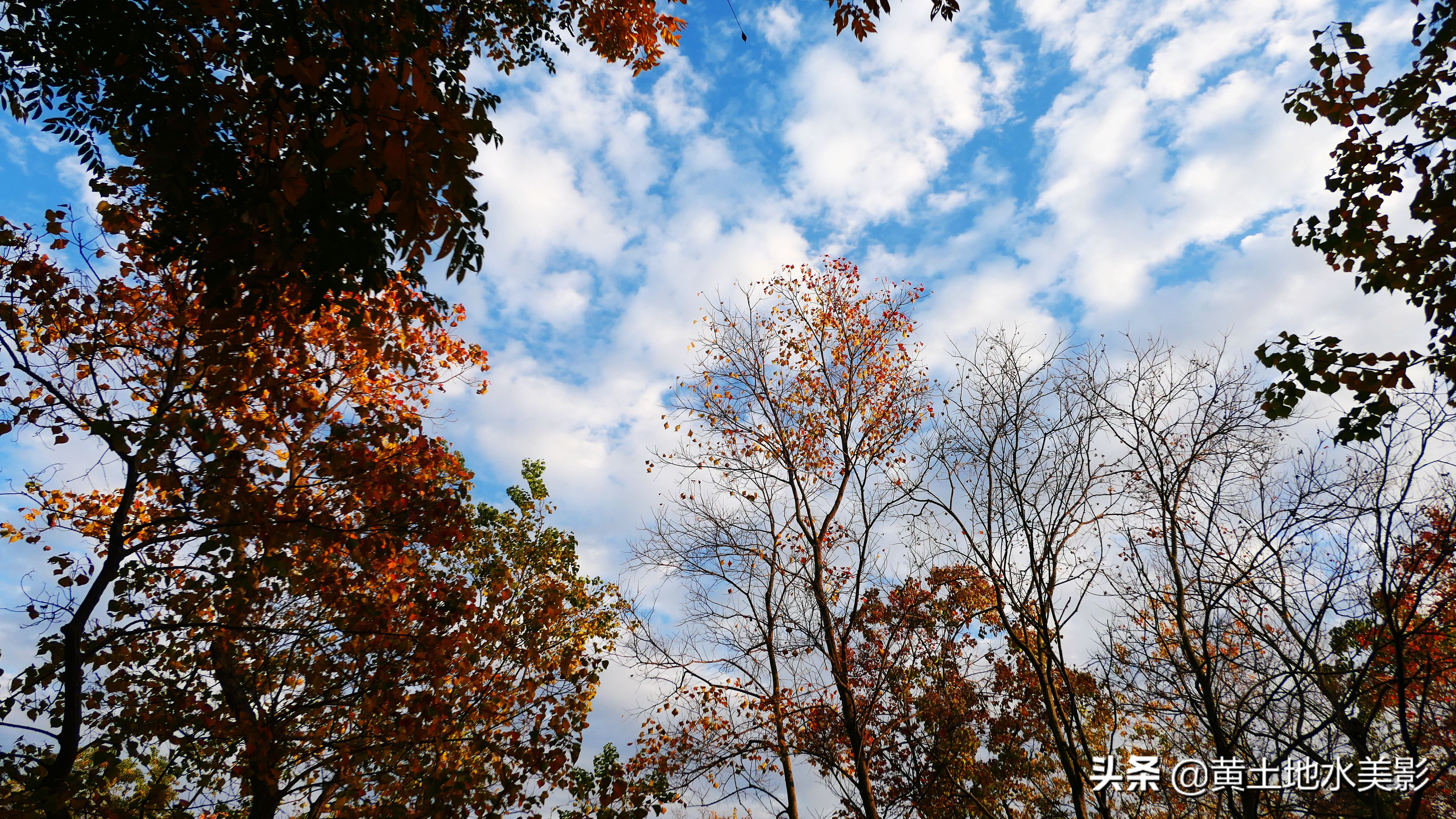 免费游玩东湖公园攻略,游玩国家湿地野鸭湖