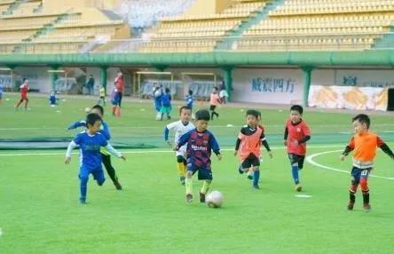 广州体育综合馆,广州公共体育场馆