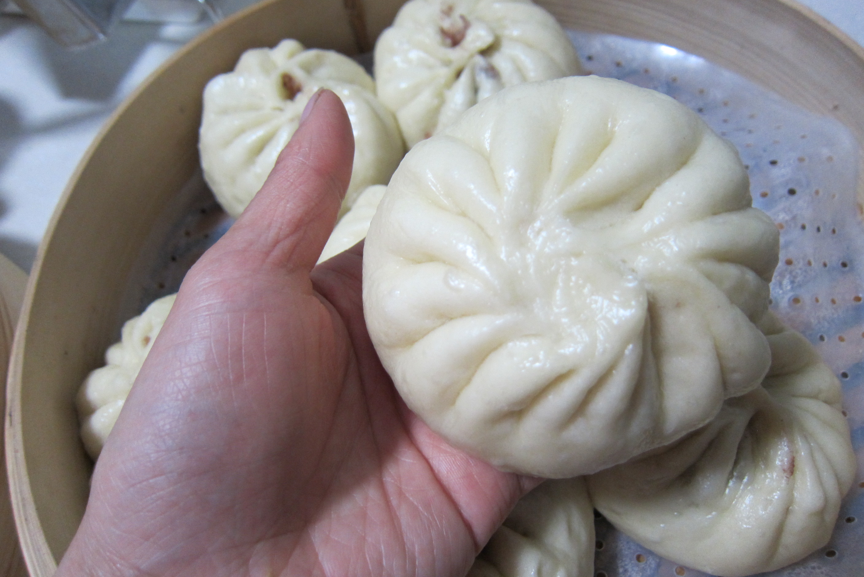 包子蒸熟后为什么底部会烂,为什么包子蒸好后表皮不光亮