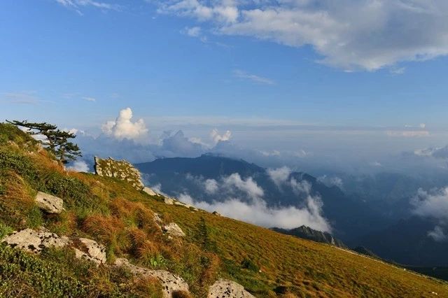 椋為┌鏂扮枂,椹伴獘鐤嗗煙鏃呮父