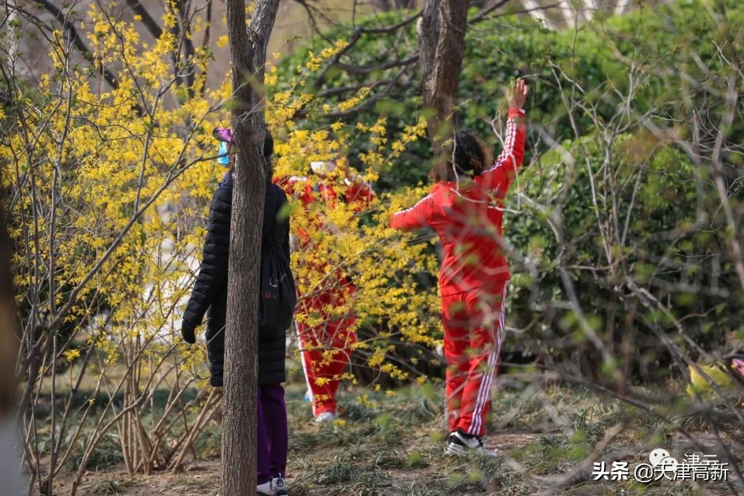 天津即将完工的公园,天津2022年四月开放的公园