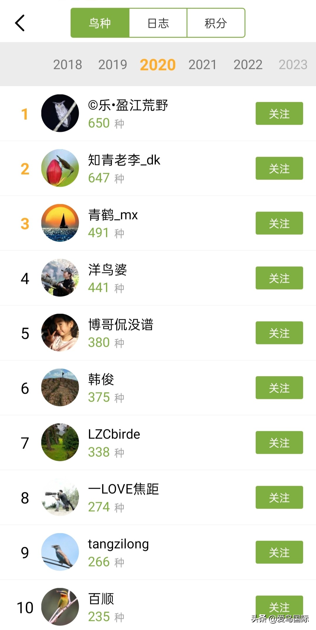 极简鸟类摄影欣赏,2019鸟类摄影作品欣赏