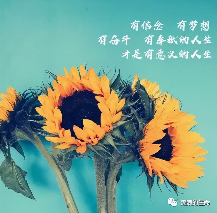 实现不了人生价值怎么办,人生目标确定难以实现但不去行动