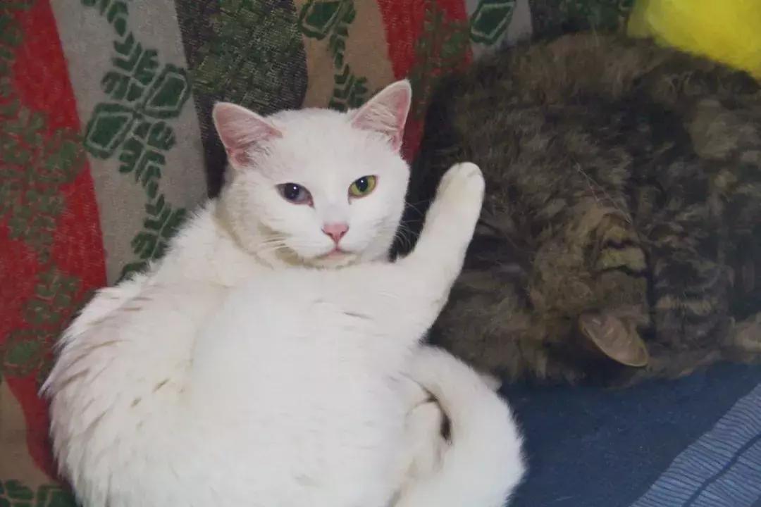 这家藏在老小区里的风味小馆，去一次就爱上话痨老板娘！