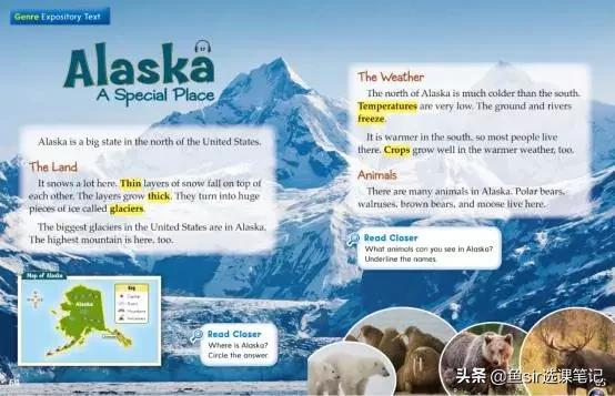 贝达测评,贝达少儿英语对比