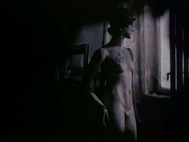 刘忻遗忘俱乐部完整版,刘忻闪光的乐队