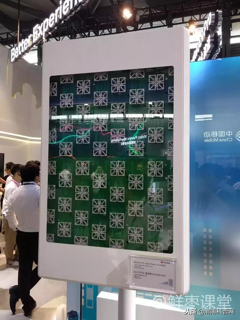 涨知识500条,涨知识50个基础