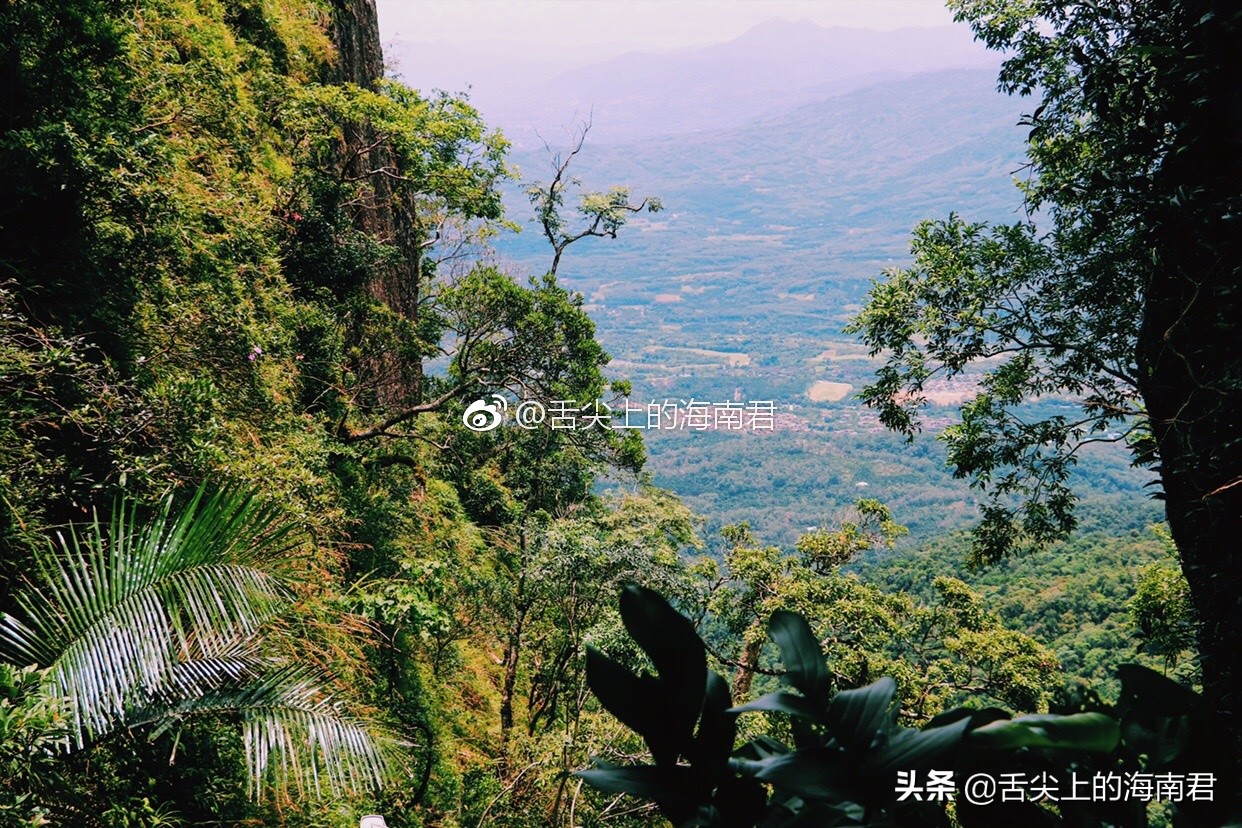 令人流连忘返的美景,令人心旷神怡的地方海南