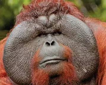 关于*人用成品**无人售货机看完这篇就够了！！！