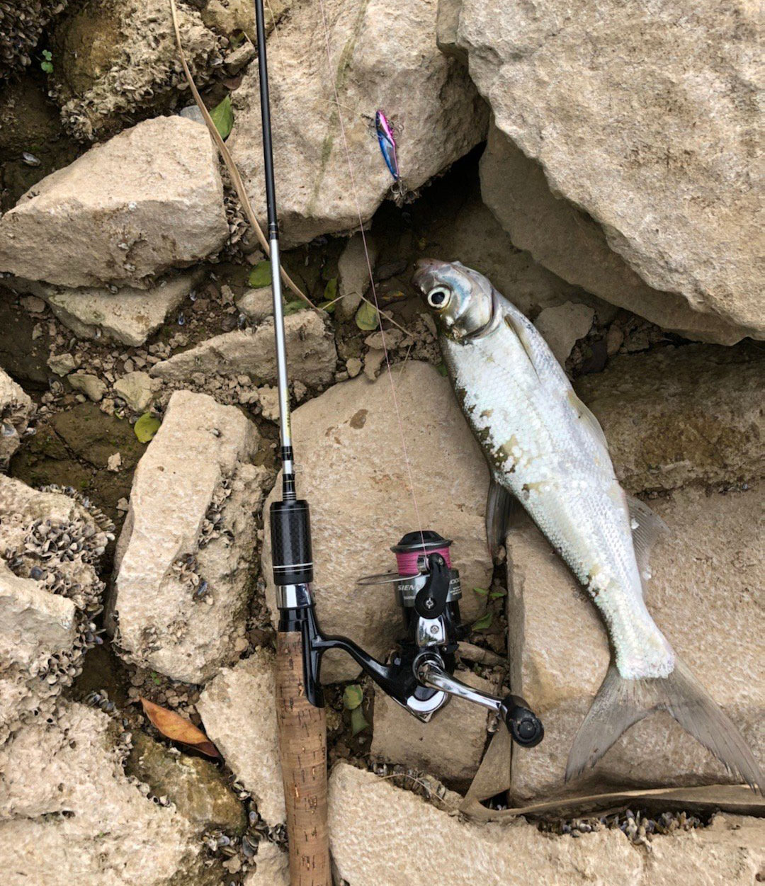 路亚各种钓法选哪个好,路亚入门路亚如何才能钓到鱼