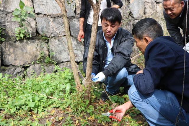 贵州省福润集团有限公司,贵州福润农资