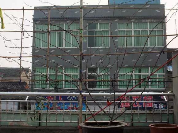 藤本月季秋季怎么修剪才会花墙,最丰花多季开花的藤本月季