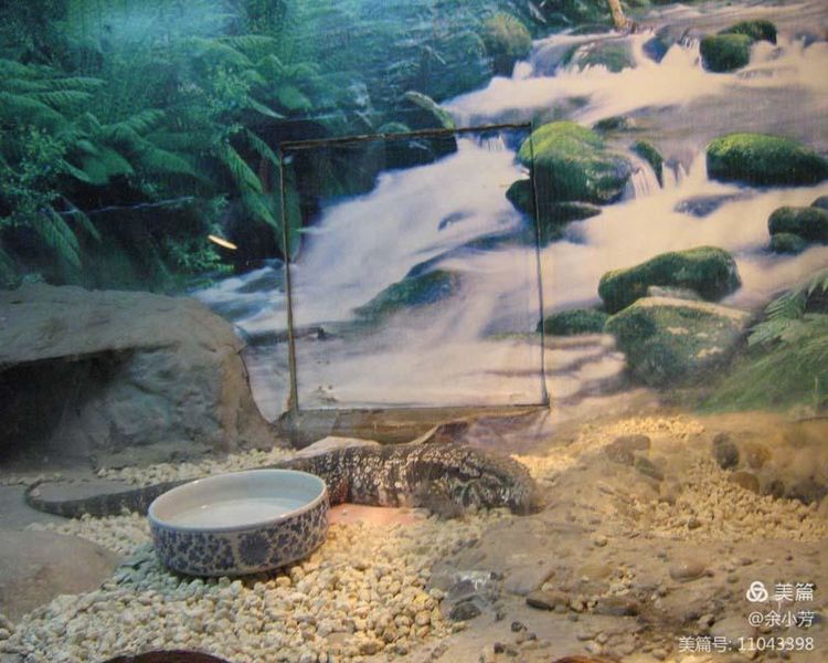 上海野生昆虫馆,上海昆虫馆门票多少