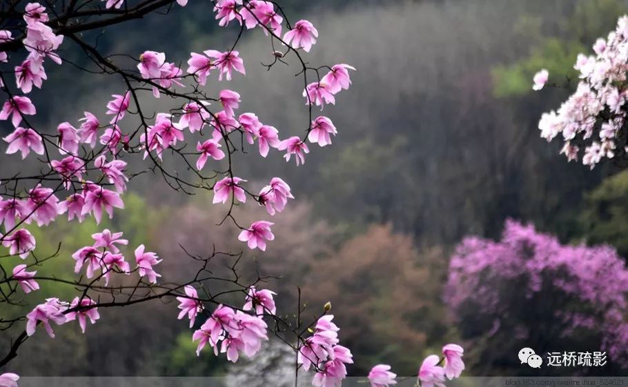 药王谷里觅旧迹（原图文）