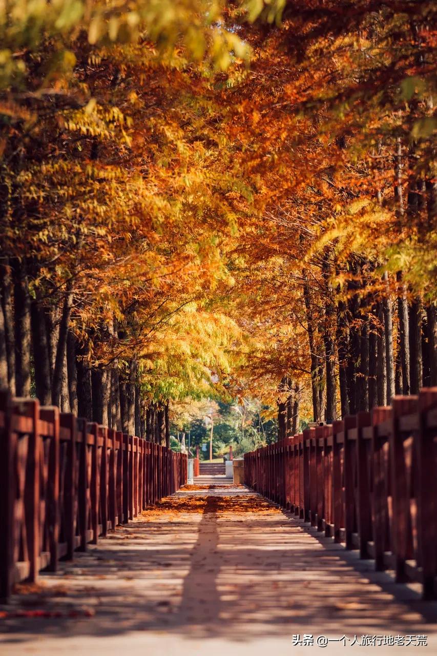 江苏这个“快乐”的城市,颜值不输苏杭,连苏东坡都在这养老