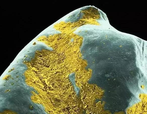 小米生态链新品刮足器,小米生态链工具