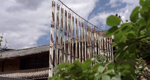 你一定吃过沙琪玛，但是这样的沙琪玛，你不一定吃过