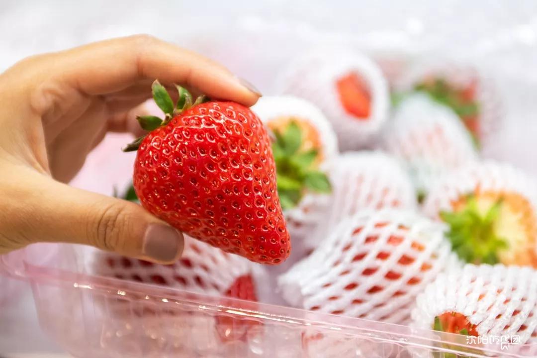 值得买的新年特产,值得收藏的年货