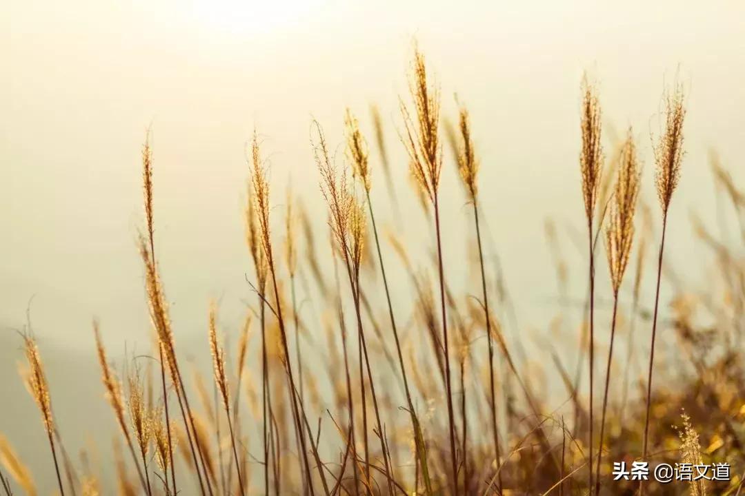 觊觎同音字读音,觊觎读音